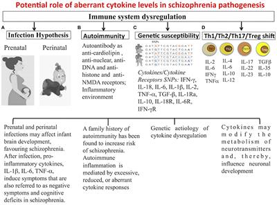 Cytokine Imbalance in Schizophrenia. From Research to Clinic: Potential Implications for Treatment